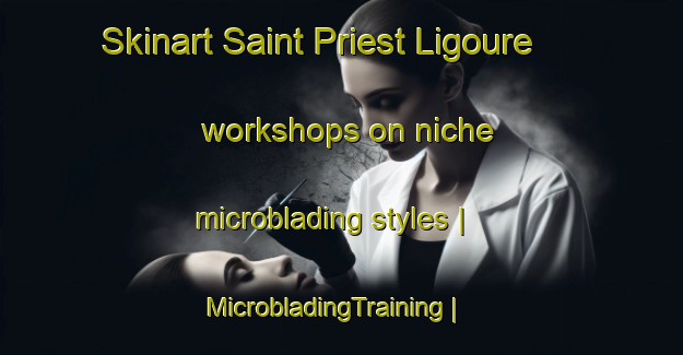 Skinart Saint Priest Ligoure workshops on niche microblading styles | MicrobladingTraining | MicrobladingClasses | SkinartTraining-France